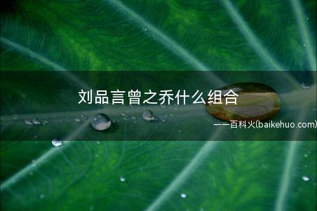 刘品言曾之乔什么组合