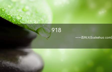 918是什么意思