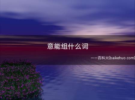 意能组什么词