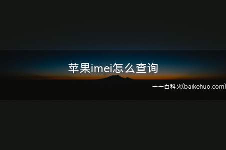 苹果imei怎么查询