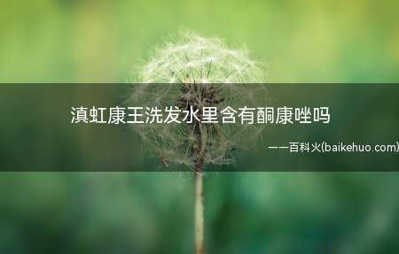 滇虹康王洗发水里含有酮康唑吗