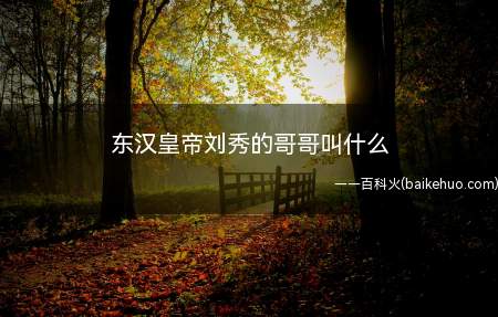东汉皇帝刘秀的哥哥叫什么(新朝末期知名人物,农民起义名将)