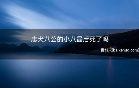 忠犬八公的小八最后死了吗（主人公帕克心肌梗死突然死亡后,小巴每天晚上5点来到火车站等待）