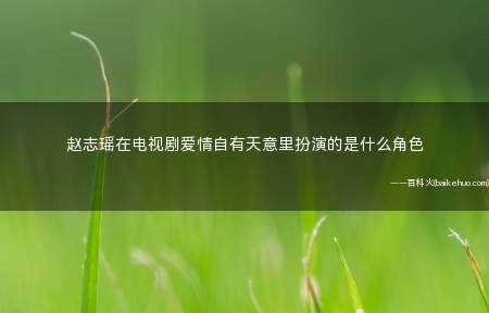 赵志瑶在电视剧爱情自有天意里扮演的是什么角色