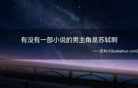 有没有一部小说的男主角是苏轼啊(男主是苏轼的小说我来到元朝,作者是宋风,是一部历史小说)