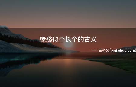 缘愁似个长个的古义(古义:是因为愁才长得这样长)