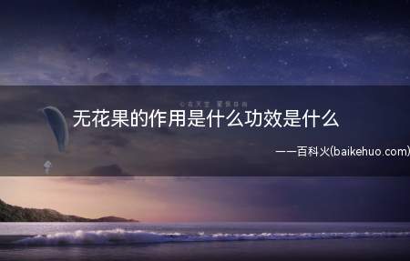 无花果的作用是什么功效是什么(它的果子含有糖、蛋白、碳水化合物、维他命和矿质元素)