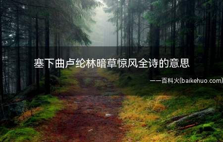 塞下曲卢纶林暗草惊风全诗的意思(塞下曲卢伦林暗草惊风全诗)