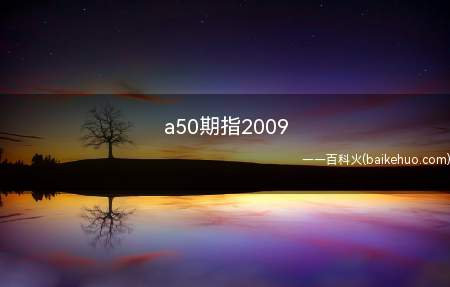a50期指2009（股指期货(SharePriceIndexFutures) -）
