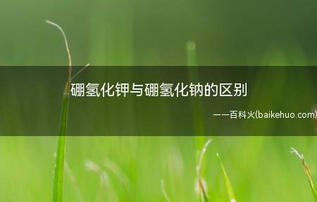 硼氢化钾与硼氢化钠的区别(硼氢化钾对水分不敏感,反应所用溶剂的含水量要求不高)