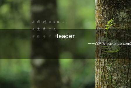 leader(leader的中文意思是,n,领袖,报纸社论,导水管,马车先)