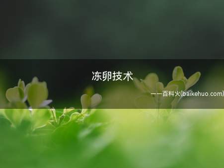 冻卵技术(冻卵技术指的意思是取母体健康时的卵子进行冻存,阻止卵子随人体)