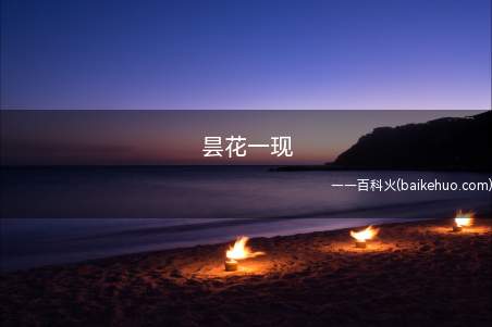 昙花一现(一位长辈告诫他,不要做“~”式的人物)