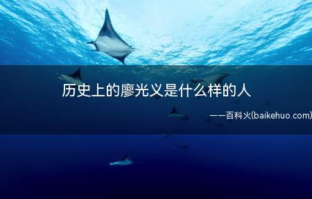 历史上的廖光义是什么样的人(《我的特一营》中所饰演的角色,为国民革命军暂编56军军长)