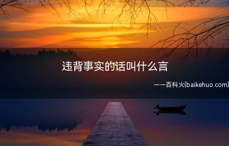 违背事实的话叫什么言(违背事实的话叫流言有哪些?)