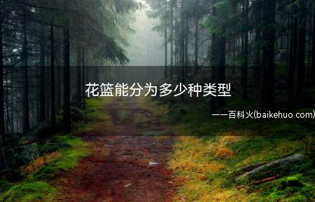 花篮能分为多少种类型(花篮有以下四大类_家居频道)