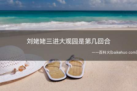 刘姥姥三进大观园是第几回合