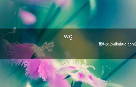 wg(wg是一个缩写梗,是“围观”的拼音首字母缩写)