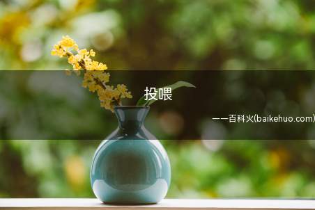 投喂(“投喂”原本指的是对小动物进行投食和喂养)