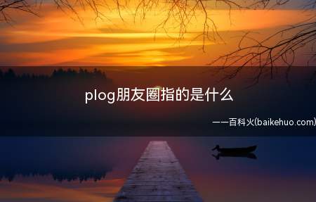 plog朋友圈指的是什么（朋友圈发布记录日常生活的照片）