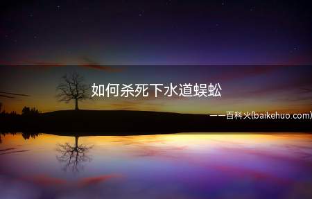 如何杀死下水道蜈蚣(可以用白醋和小苏打、除虫菊酯、生石灰等将蜈蚣杀死)