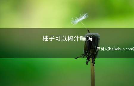 柚子可以榨汁喝吗(柚子可以榨汁喝,首先需要将柚子剥皮,剥出果肉后备用,需要注意)