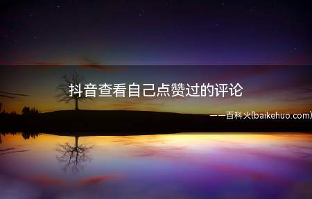 抖音查看自己点赞过的评论(演示机型:Iphone 13)