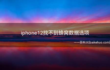 iphone12找不到蜂窝数据选项(iphone12找不到蜂窝数据选项的具体操作步骤)