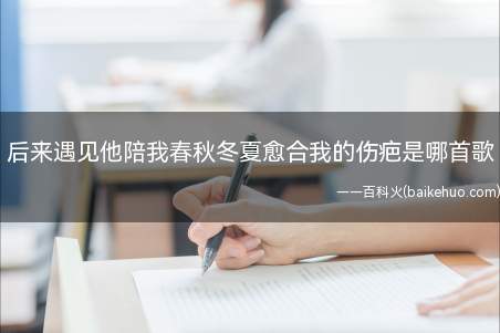 后来遇见他陪我春秋冬夏愈合我的伤疤是哪首歌