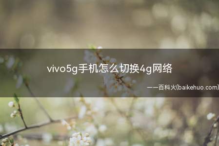 vivo5g手机怎么切换4g网络