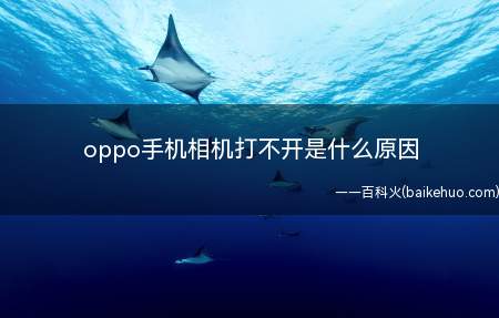 oppo手机相机打不开是什么原因(oppo手机相机打不开是什么原因的具体操作步骤)