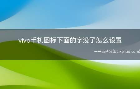 vivo手机图标下面的字没了怎么设置
