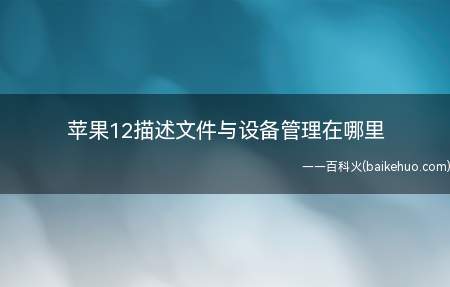 苹果12描述文件与设备管理在哪里