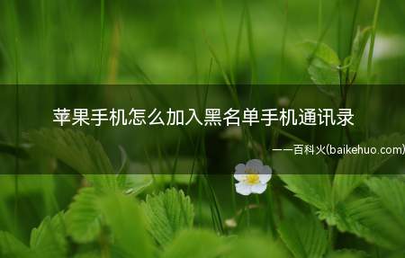 苹果手机怎么加入黑名单手机通讯录