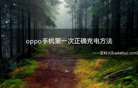 oppo手机第一次正确充电方法