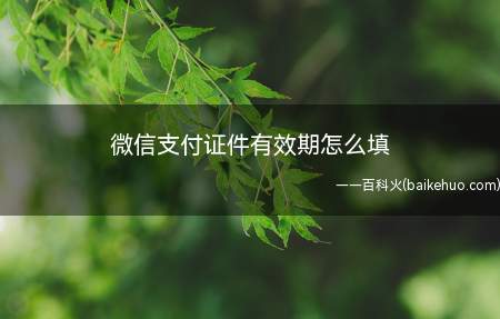 微信支付证件有效期怎么填(演示机型:Iphone 13)
