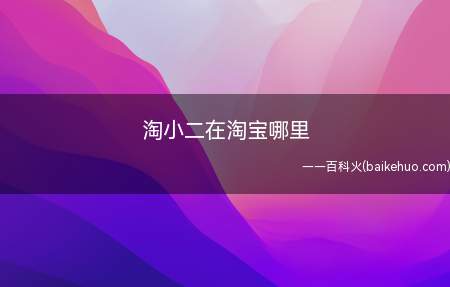 淘小二在淘宝哪里(演示机型:Iphone 13)