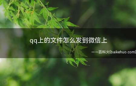 qq上的文件怎么发到微信上(演示机型:Iphone 13)