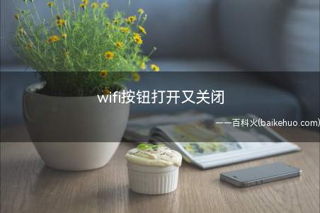 wifi按钮打开又关闭(演示机型:Iphone 13)