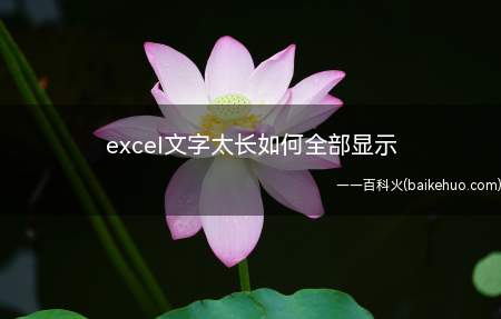 excel文字太长如何全部显示(华为MateBook X中解决excel文字太长如何全部显示)