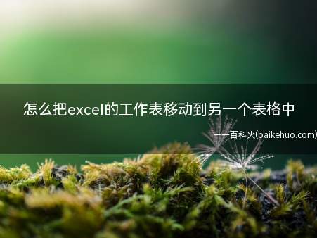 怎么把excel的工作表移动到另一个表格中（怎么把excel的工作表移动到另一个表格中的具体操作步骤）