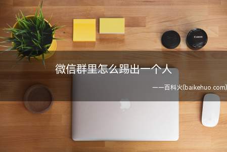 微信群里怎么踢出一个人(演示机型:Iphone 13)