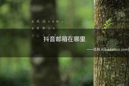 抖音邮箱在哪里(演示机型:Iphone 12)