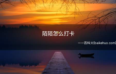 陌陌怎么打卡(演示机型:Iphone 12)