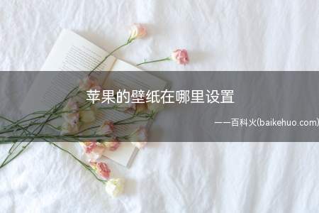 苹果的壁纸在哪里设置(苹果的壁纸在哪里设置的具体操作步骤)