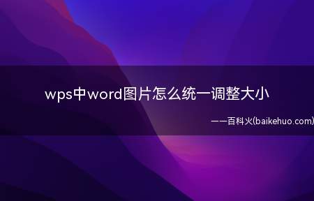 wps中word图片怎么统一调整大小