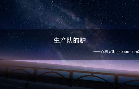 生产队的驴是什么意思(“生产队的驴”这个梗是用来形容很忙、很牛的人)