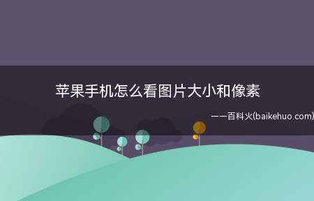 苹果手机怎么看图片大小和像素(苹果手机怎么看图片大小和像素的具体操作步骤)