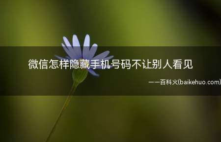 微信怎样隐藏手机号码不让别人看见(演示机型:Iphone 12)