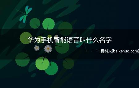 华为手机智能语音叫什么名字（华为手机智能语音叫什么名字的具体操作步骤）